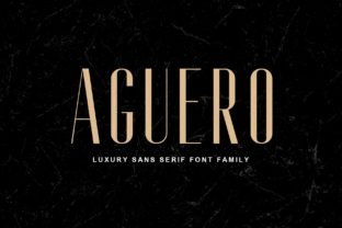 Aguero Family: A Modern Serif for Digital Campaigns