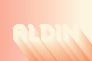 Aldin: A Modern Sans Serif Font for Bold Branding