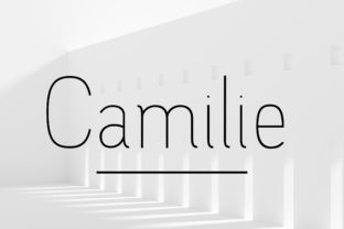 Camilie Family: A Versatile Sans Serif for Modern Design