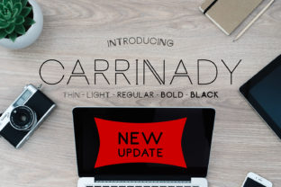 Carrinady: A Modern Sans Serif for Digital Branding