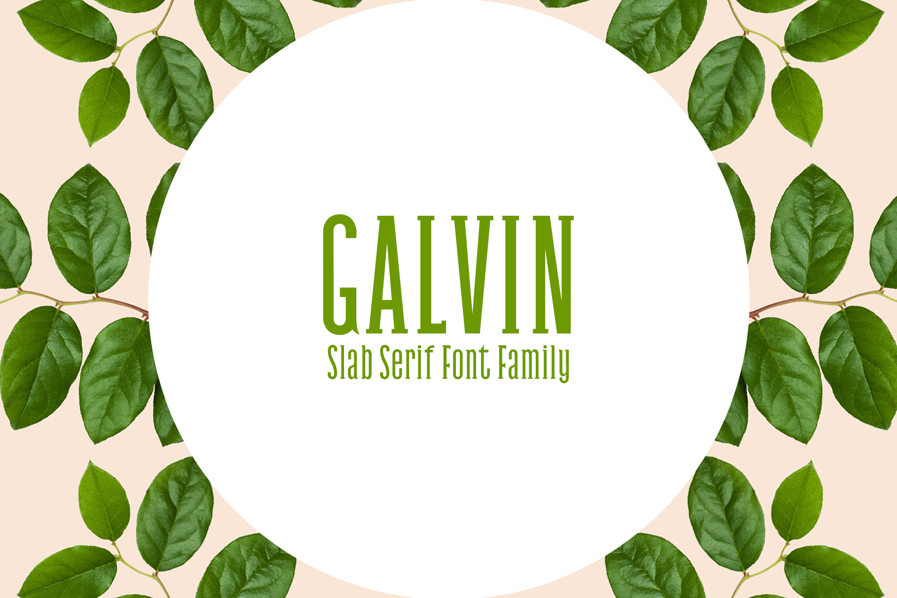 Galvin Family Pack: A Sharp Slab Serif for Modern Campaigns