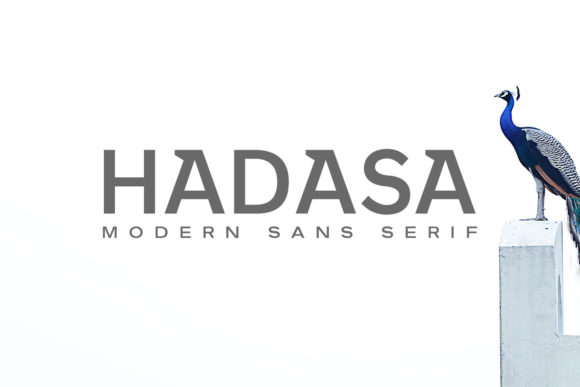 Hadasa Family: A Modern Sans Serif Font for Digital Campaigns