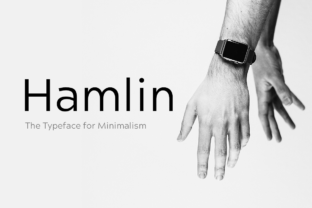 How Hamlin Font Transformed My Brand's Visual Identity