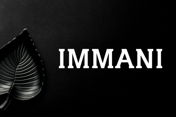 Immani Serif for Modern Branding Projects