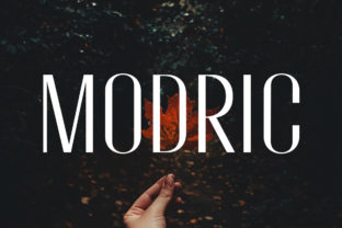 Modric: A Charming Sans Serif Font for Modern Branding