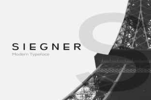 Siegner Sans Serif Font for Modern Campaigns