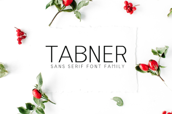 Tabner Family: A Modern Sans Serif Font for Digital Marketing