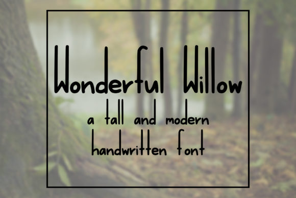 Wonderful Willow for Modern Campaign Design